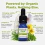 Forces of Nature Allergy Relief for Kids Sublingual Drops, Orange, 10ml, , large image number 2