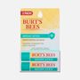 Burt’s Bees Medicated Lip Balm, 2-Pack, 0.15 oz., , large image number 1