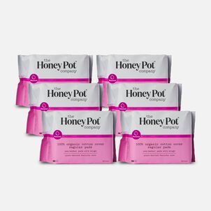 The Honey Pot 100% Organic Top Sheet Regular Non Herbal Menstrual Pads, 20 ct. (6-Pack)
