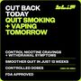 Blip Nicotine Gum, Mint Freeze, 2mg, 100 ct., , large image number 2