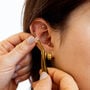 WTHN Crystal Ear Seed Kit, , large image number 4